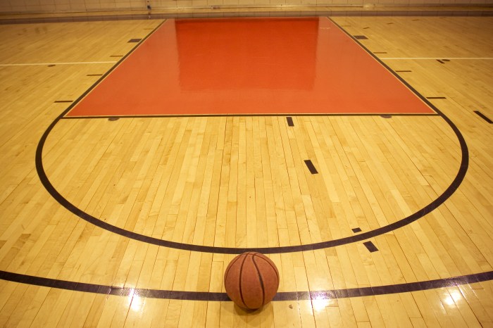 Lantai Kayu Parket Lapangan Basket Pilihan Terbaik untuk Performa dan Estetika AdobeStock 11414884 1 - Lantai Kayu Parket Lapangan Basket Pilihan Terbaik untuk Performa dan Estetika