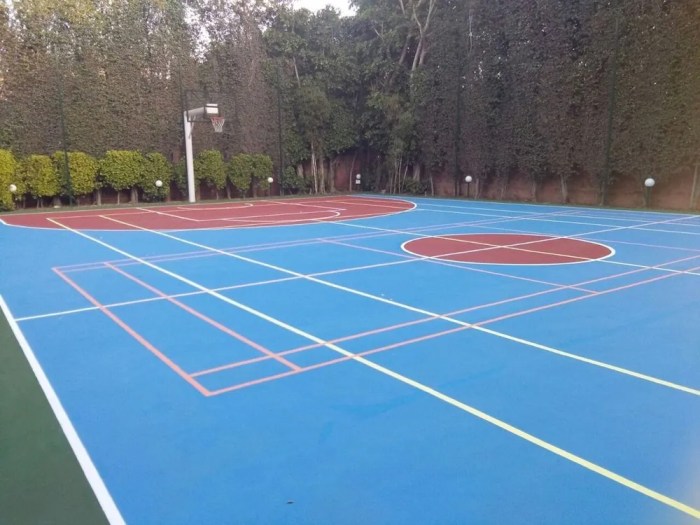 basketball court at delhi 1000x1000 1 1 - Memahami Berbagai Jenis Lantai Lapangan Basket