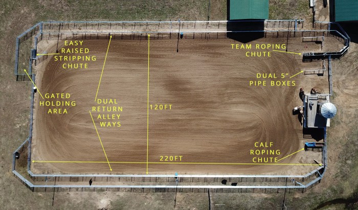 dual arena large 2 - Lantai Parket Lapangan Basket Penataan Arena Komunitas