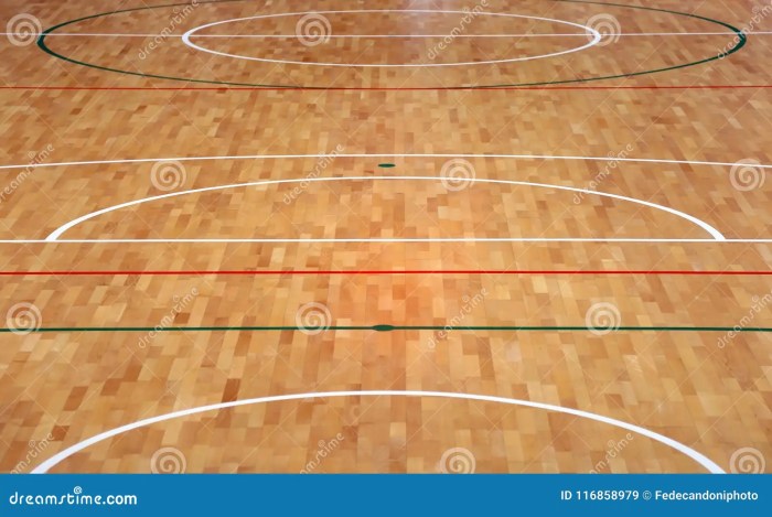 Lantai Parket Basket untuk Arena Multifungsi Bisakah? parquet lines basketball court parquet lines basketball court volleyball court 116858979 1 - Lantai Parket Basket untuk Arena Multifungsi Bisakah?