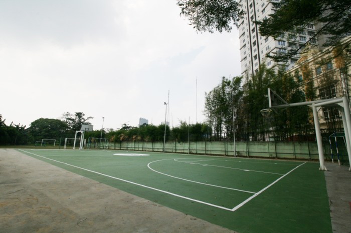 Toko Lantai Olahraga Basket Jakarta Pilihan Terbaik untuk Setiap Kebutuhan c 1 - Toko Lantai Olahraga Basket Jakarta Pilihan Terbaik untuk Setiap Kebutuhan