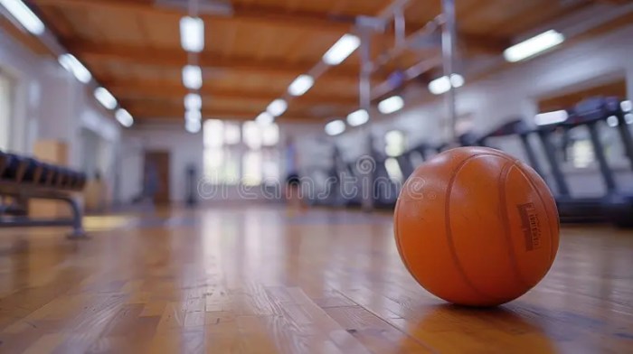 basketball court ball hoops rims hardwood floor lights competition game basketball court ball hoops rims 311212796 1 - Inspeksi Pra-Kompetisi Lantai Parket Basket